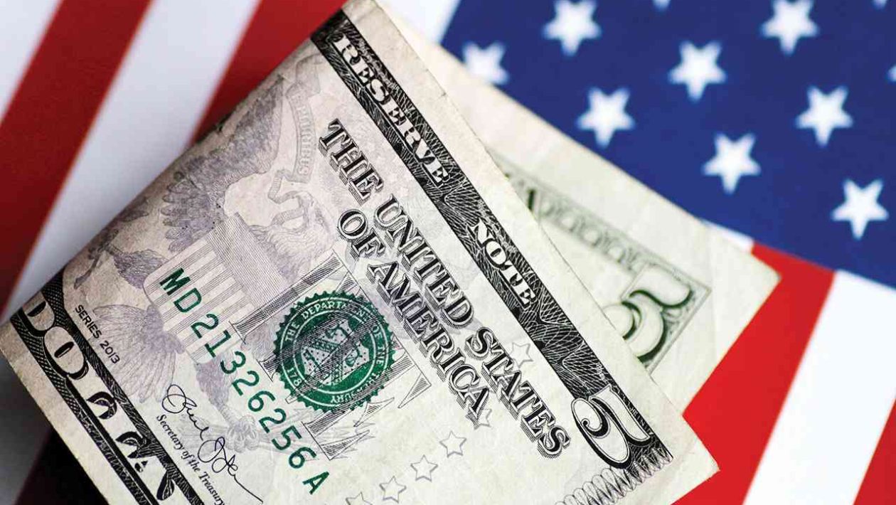 Dollaria
