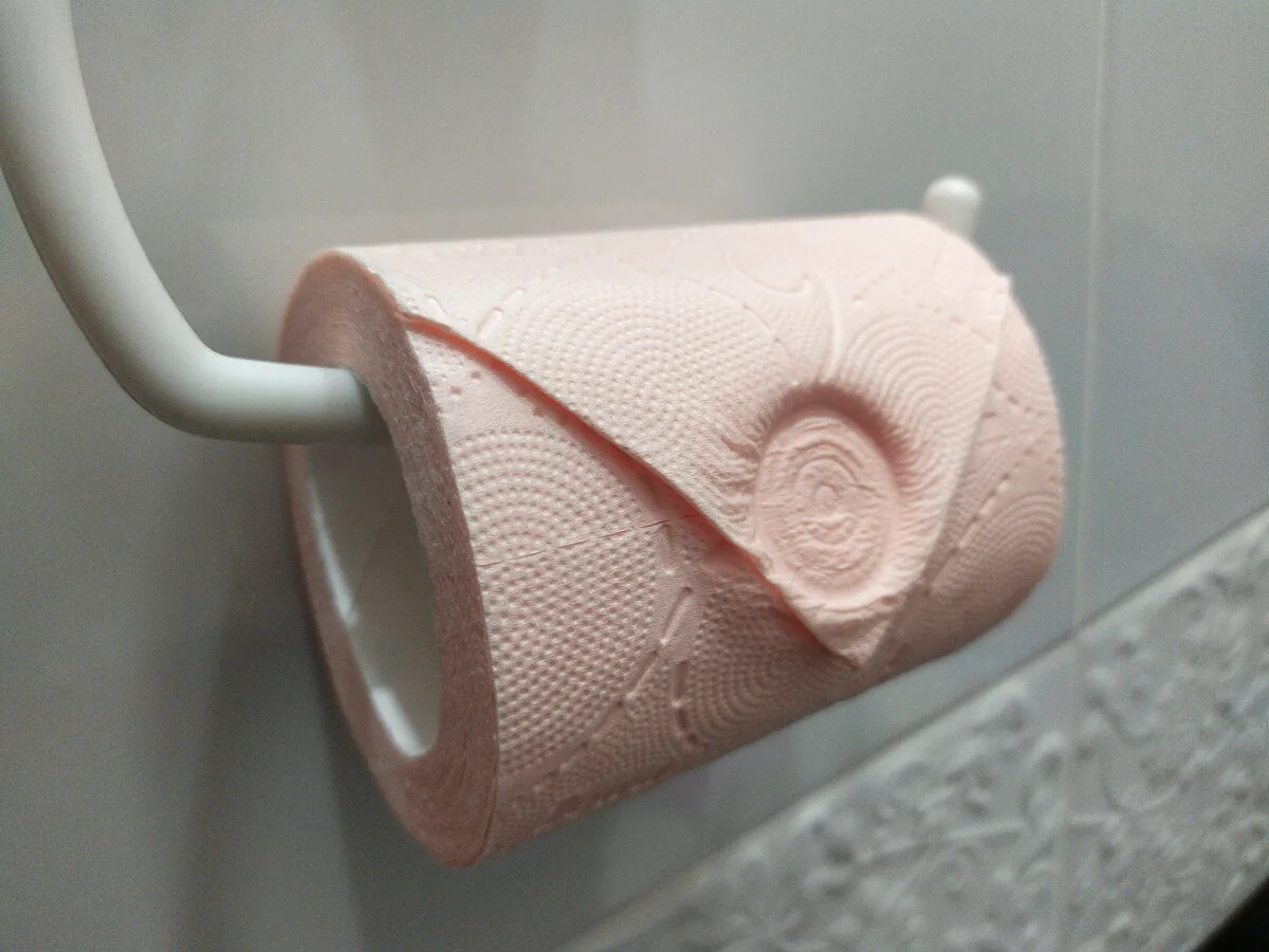 Käymälän Säännöllinen Käyttö: Onko Parempi Käydä Käymälässä Joka Päivä Vai Onko Se Turhaa?