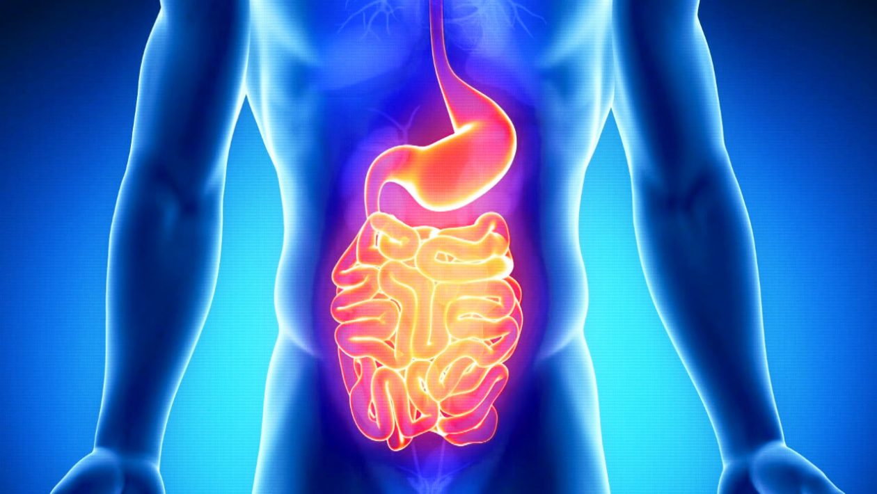 Gastroenteriitti